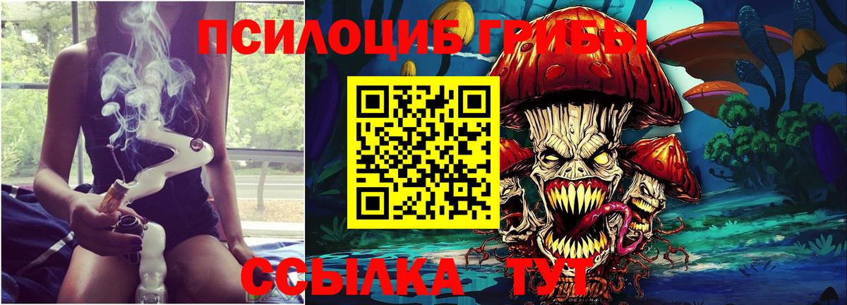 Мирный  Псилоцибиновые грибы прущие грибы  купить наркотик  Вход с VPN 